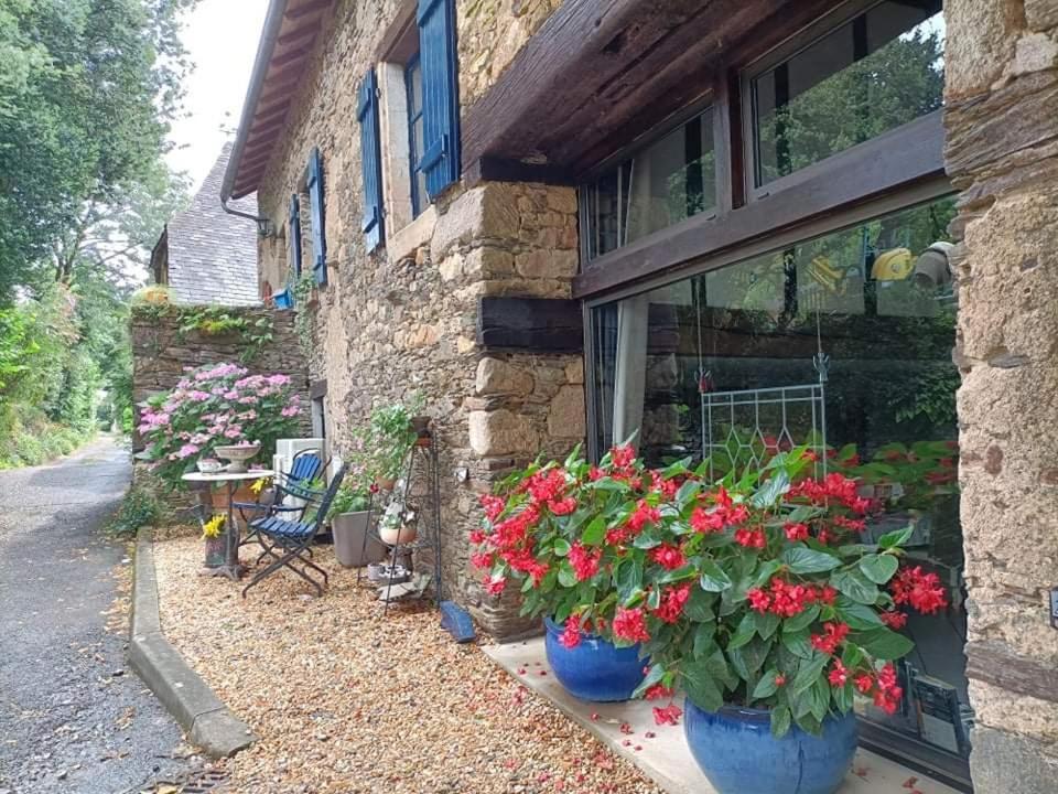 La Maison Bleue Juillac  Dış mekan fotoğraf