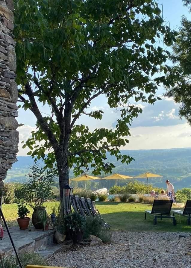 La Maison Bleue Juillac  Dış mekan fotoğraf
